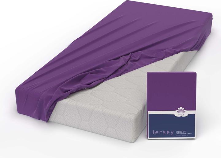 Image du produit Lotus Bettwaren Jersey Fix Comfort (180 x 200 cm)