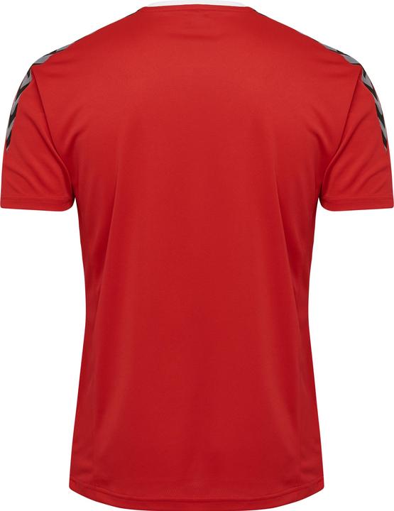 Image du produit hummel Authentic Kids Poly Jersey S/S (116)