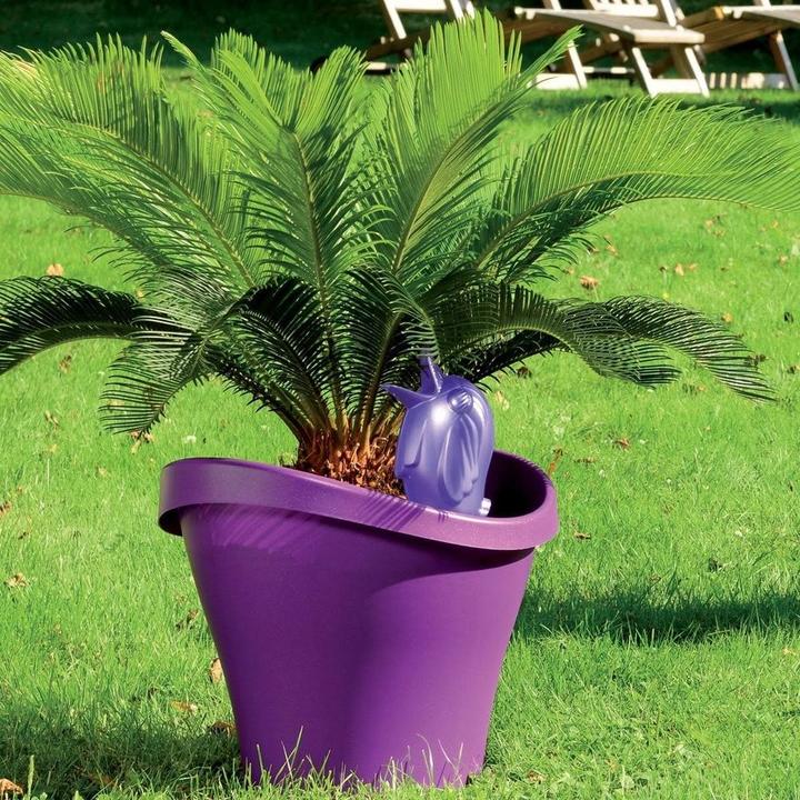 Actual product image Scheurich Bördy XL (Clay cone)
