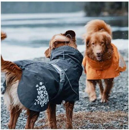 Actual product image Hurtta Monsoon raincoat dark grey (45, M, Dog raincoat)