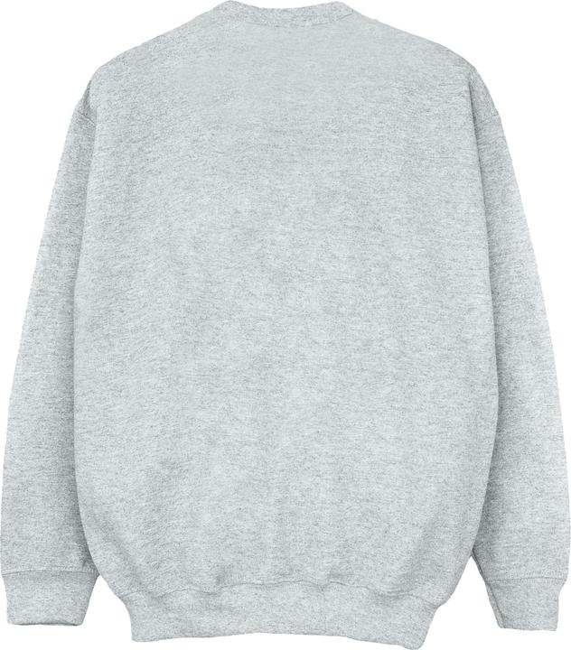 Produktbild Slytherin Sport Emblem Sweatshirt Jungen (140, 146)