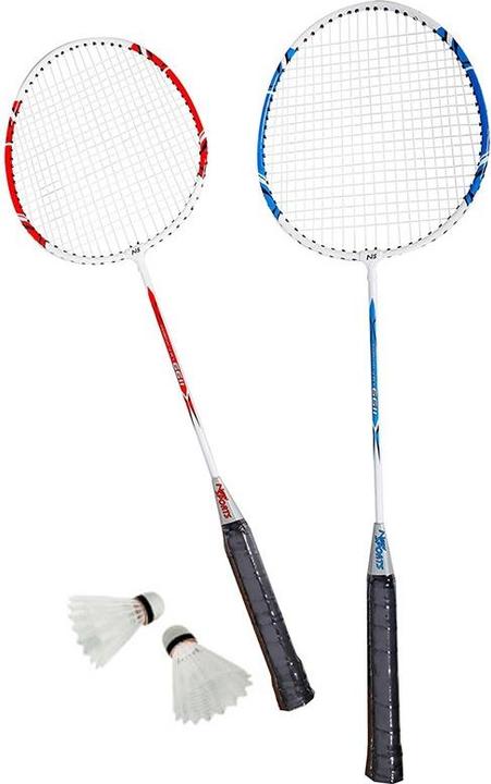 New Sports Badminton-Set Training