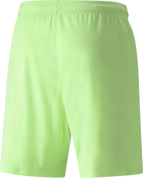 Actual product image Puma teamLIGA shorts (S)