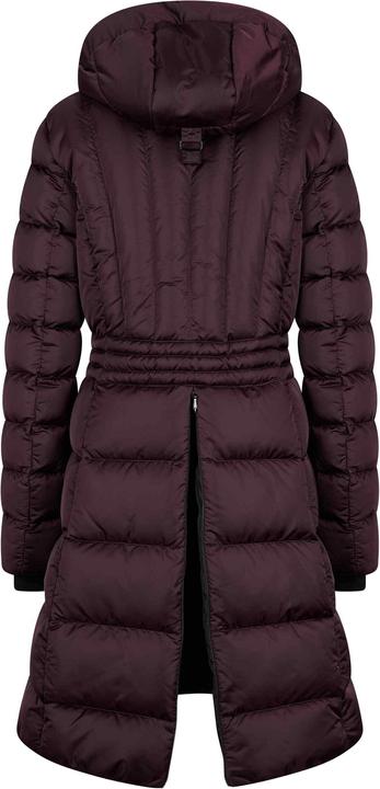Actual product image Euro-star Ferrera (XS)