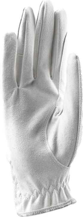 Produktbild Aubrion Reithandschuhe Aachen (XL)