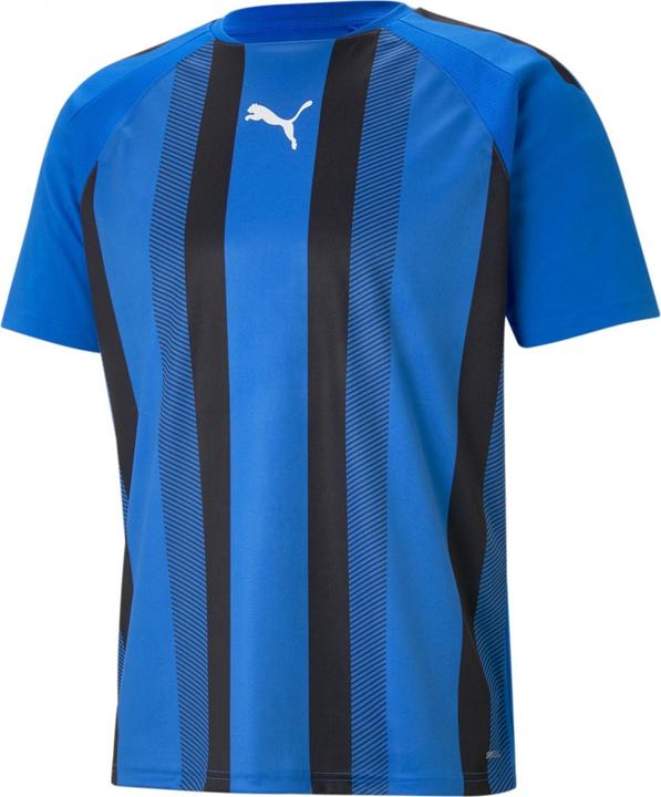 Actual product image Puma teamLIGA Striped Jersey-704920 (XXL)