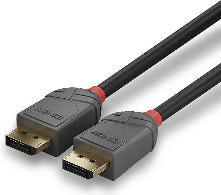 Image du produit Lindy DisplayPort — DisplayPort (2 m, DisplayPort)