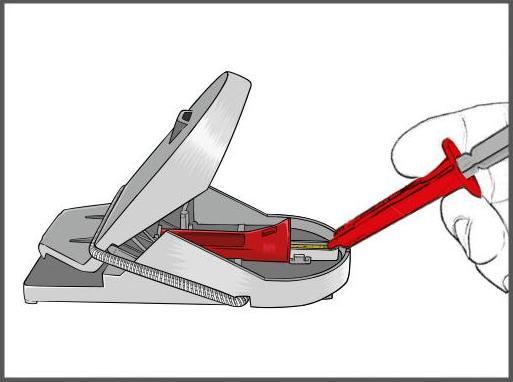 Actual product image Swissinno Mousetrap Pro SuperCat pack of 2