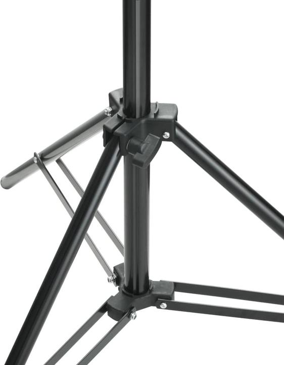 Actual product image VidaXL Support de toile de fond (300 cm, 210 cm)