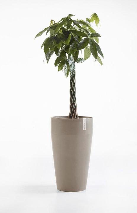 Produktbild Ecopots Sankara