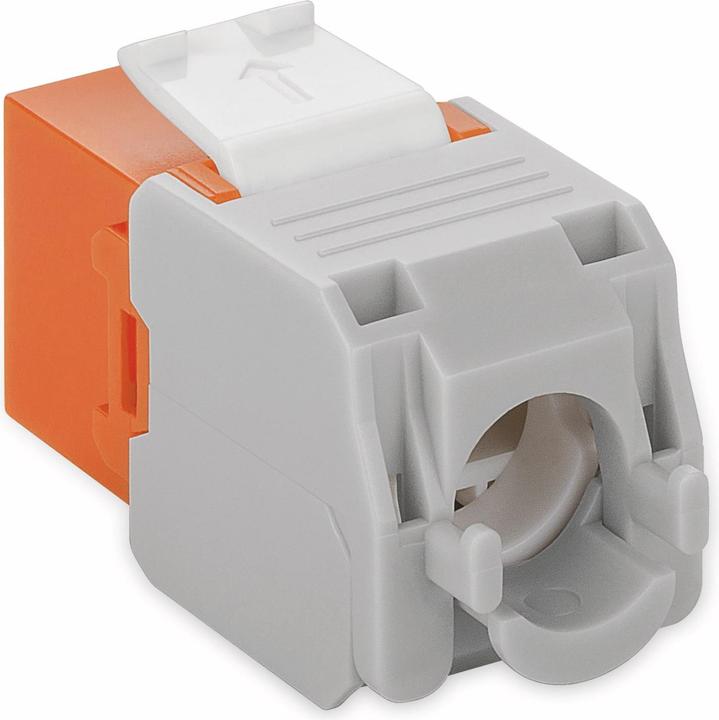 Produktbild Goobay CAT 6a KeyStone RJ45 Jack,ungeschirmt, 500MHz, Orange-Weiss (Keystone Modul)