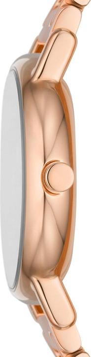 Image du produit Skagen Signature Lille (Montre analogique, 30 mm)