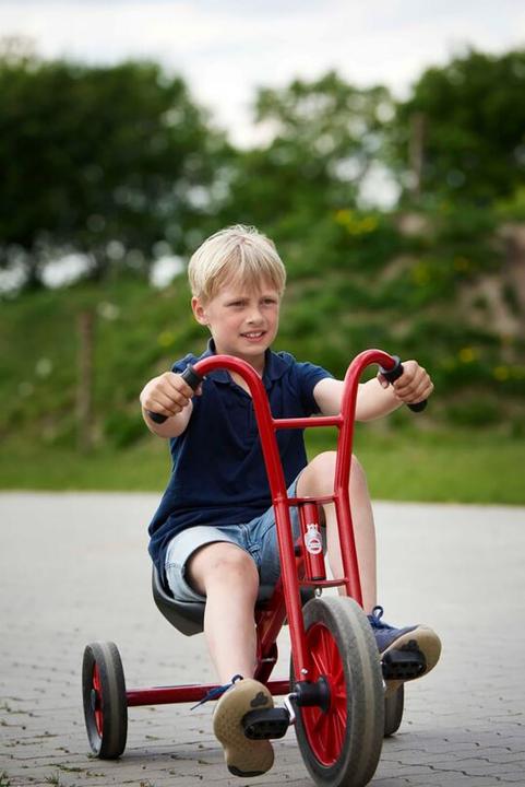 Image du produit Winther Tricycle Viking Maxi