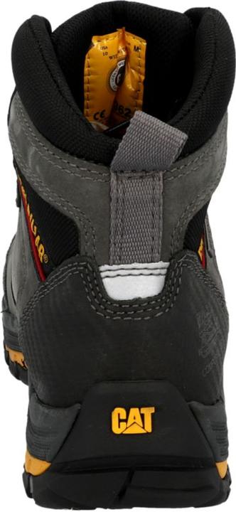 Actual product image Cat Munising (S3, 46)