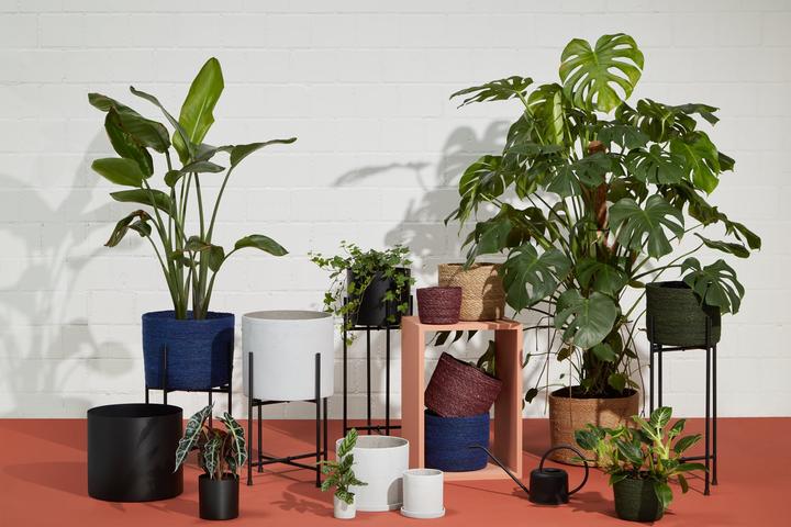 Produktbild micasa Elea (24 cm)