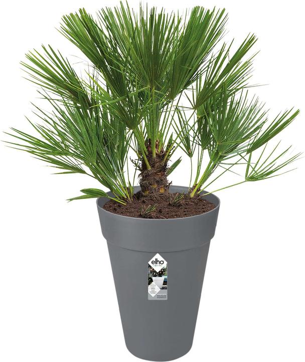 Actual product image Elho Loft Urban (33.50 cm)