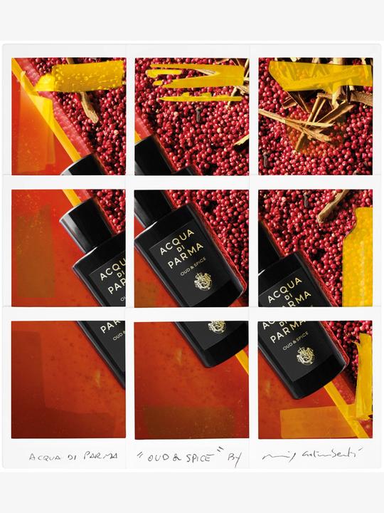 Produktbild Acqua Di Parma Oud&Spice (Eau de Parfum, 100 ml)