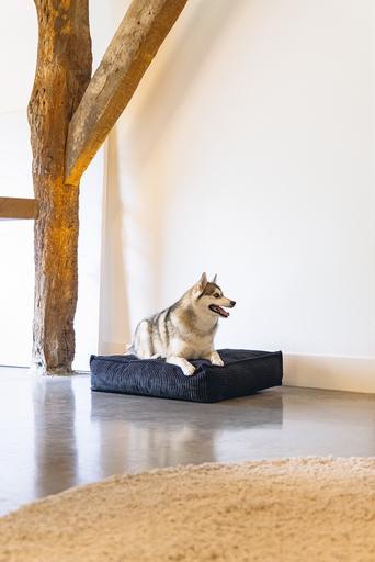 Actual product image Designed by Lotte Ribbed Cushion (Dog)