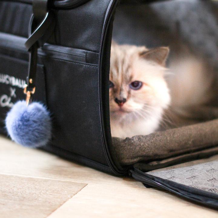 Actual product image LucyBalu CHECK-IN Katzentransporttasche | Choupette Edition (Cat, Washable)