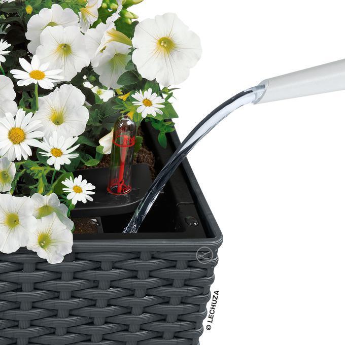 Actual product image Lechuza Balconera Cottage (19 cm)