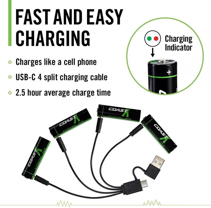 Actual product image Coast Zithion-X USB-C (4 pcs., AA, 2400 mAh)