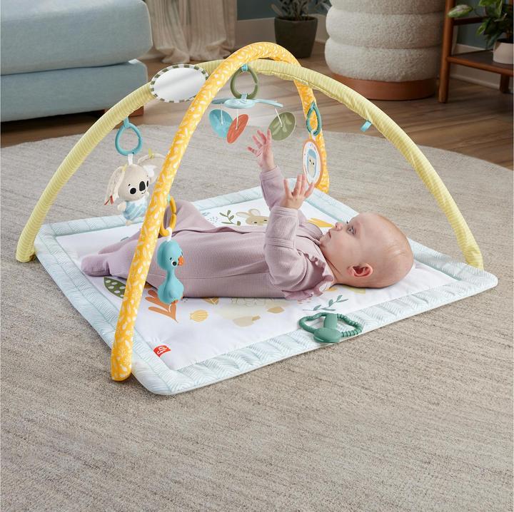 Actual product image Fisher-Price Simply Senses