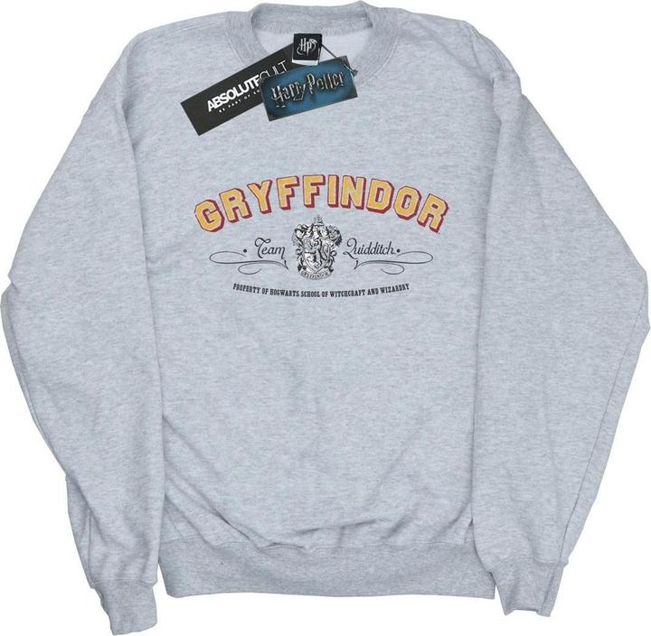 Image du produit - Sweat GRYFFINDOR TEAM QUIDDITCH - Garçon (116)