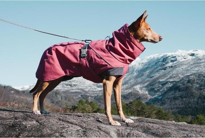 Immagine prodotto Hurtta Spedizione (40, Cappotto per cani)