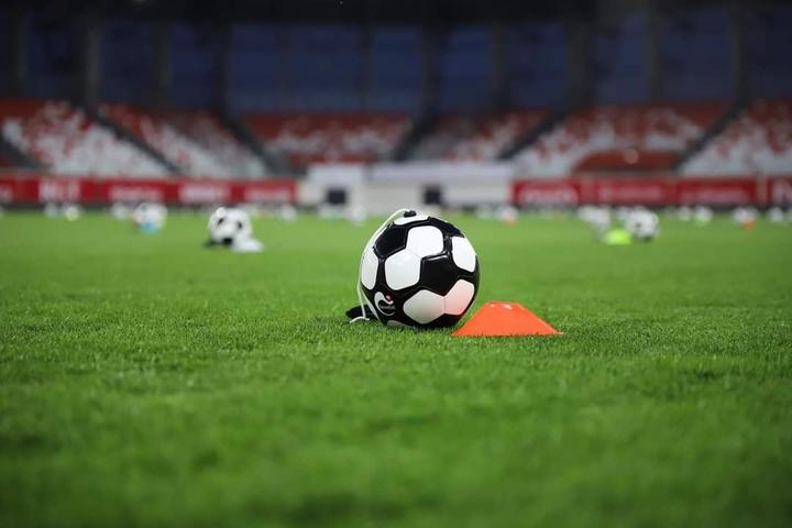 Actual product image Sense Ball Football | Training equipment for children | Improve skills and ball control with 50 practice videos
