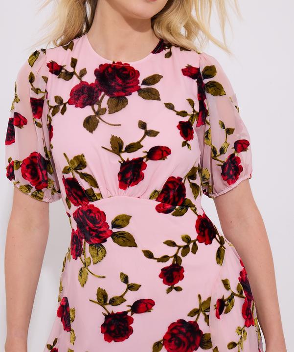 Produktbild Joe Browns Vintage Inspired Devore Rose Mini Dress (8)