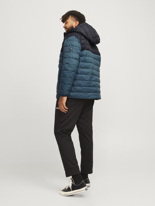 Image du produit Jack & Jones Jjesprint Puffer Hood Noos Pls (5XL)
