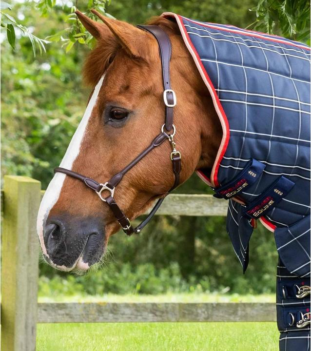 Image du produit Premier Equine Domus 400 g (168 cm)