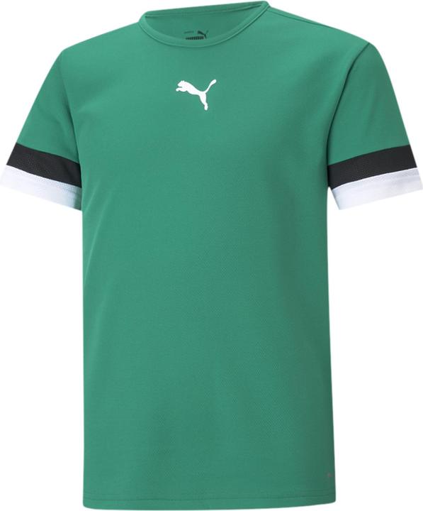 fir green, White, Black