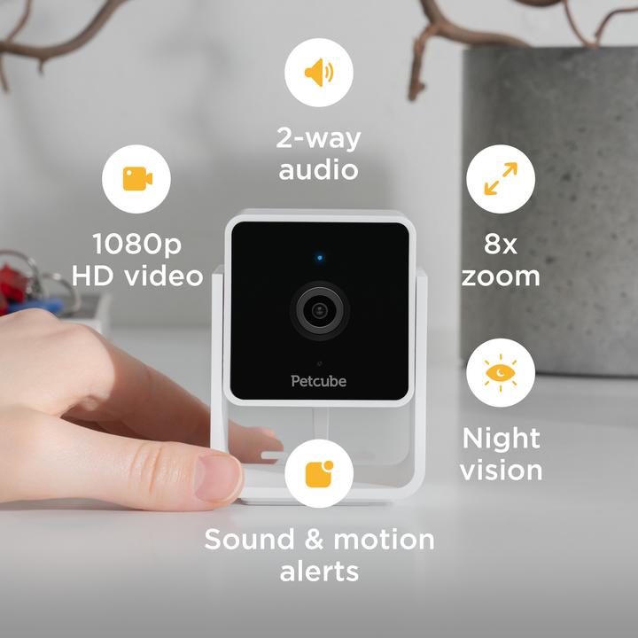 Image du produit Petcube Caméra pour animaux domestiques (Jouets avec herbe à chat)
