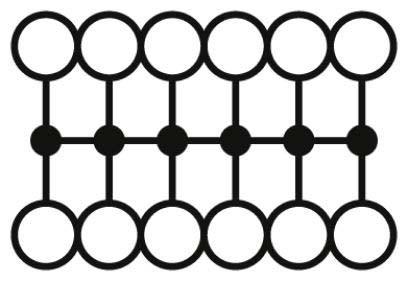 Image du produit Phoenix Contact Bloc de distribution PTFIX 12X1,5
