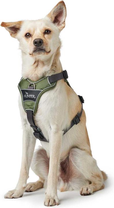 Actual product image Hunter Divo tableware (M, Dog, Dog sport)