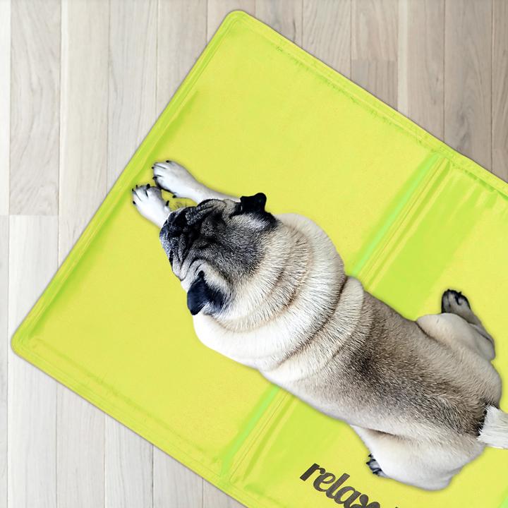 Immagine prodotto Relaxdays Tappetino refrigerante, cane (Cane)