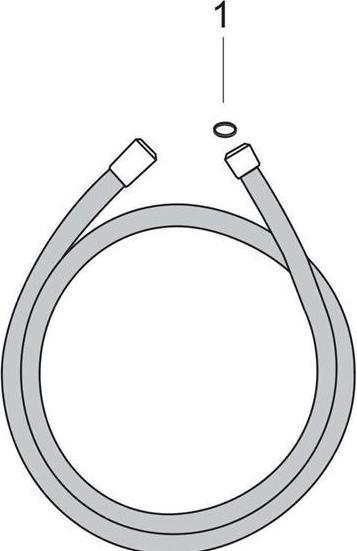 Produktbild hansgrohe Isiflex (160 cm)