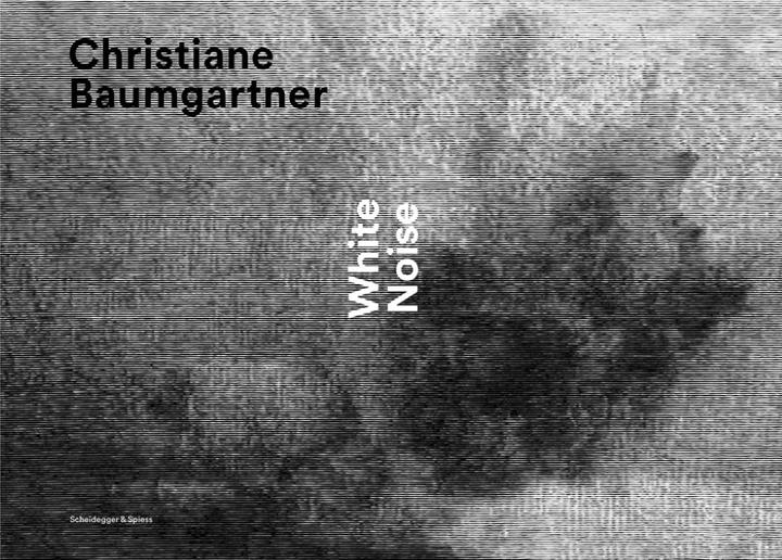 Produktbild Christiane Baumgartner - White Noise (Deutsch, Französisch, Christiane Baumgartner, Christian Rümelin, Thomas Oberender, Tobias deBraeleer, 2014)