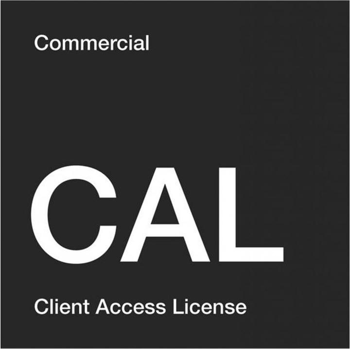 Actual product image Microsoft Windows Server 2022 User CAL 5 Pack, OEM, English (5 User, unlimited)