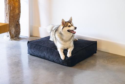Actual product image Designed by Lotte Ribbed Cushion (Dog)