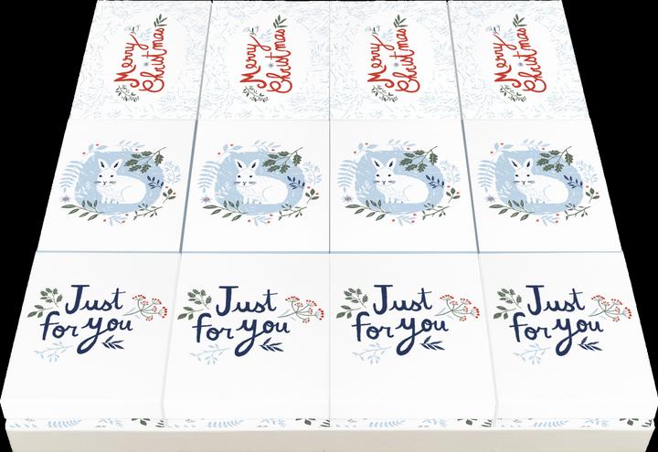 Actual product image Clairefontaine Gift box set "Christmas (Gift box, 12 x)