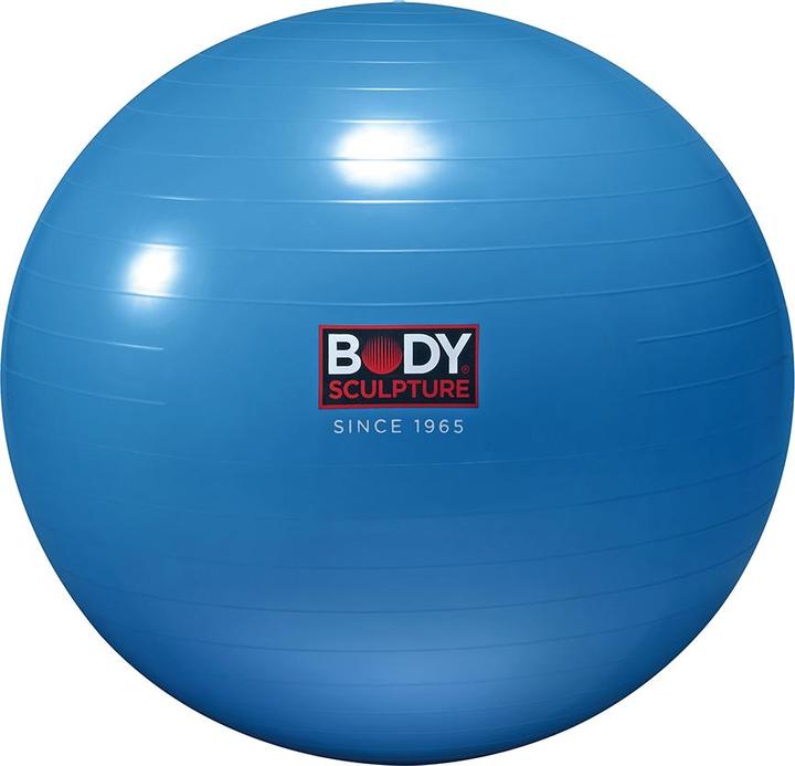 Actual product image Body Sculpture Gym (65 cm)