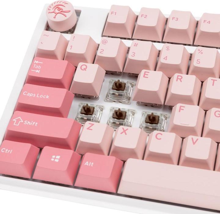 Image du produit Ducky Clavier de jeu One 3 Gossamer TKL rose - MX-Brown (US) (US, Filaire)