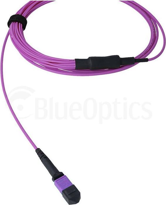 Produktbild BlueOptics LWL MTP/8xSC Duplex Breakout Kabel OM4 3 Meter (3 m)