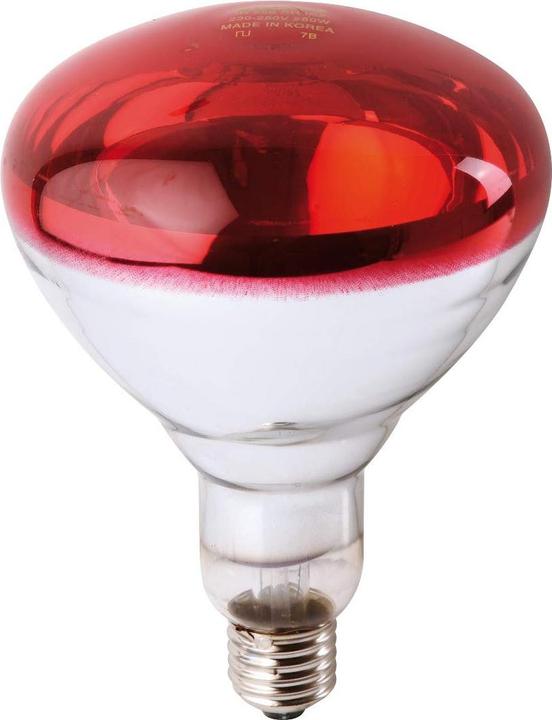 Philips Infrarotlampe BR125 (250 W)