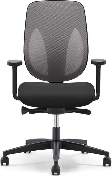 Immagine prodotto Giroflex 353 Ritorno netto