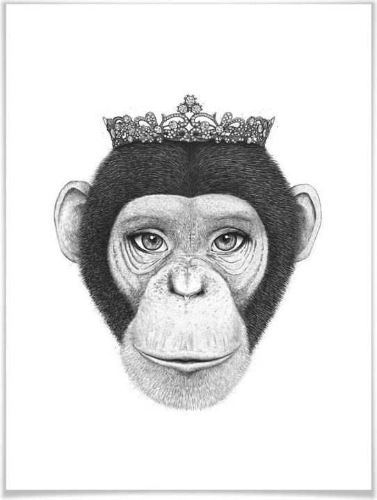 Immagine prodotto Trenddeko La regina scimmia (60 x 80 cm)