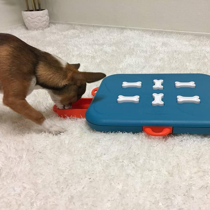 Produktbild Nina Ottosson Dog Casino (Intelligenzspielzeug Hund)