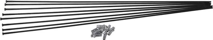 Actual product image DT Swiss Spoke kit for H 1700 Spline 29